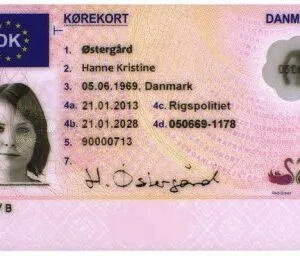 L'acquisto di un danese patente Online