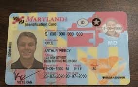 Buy Maryland ID Cards