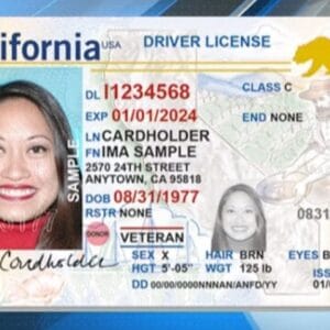 Buy California ID Cards